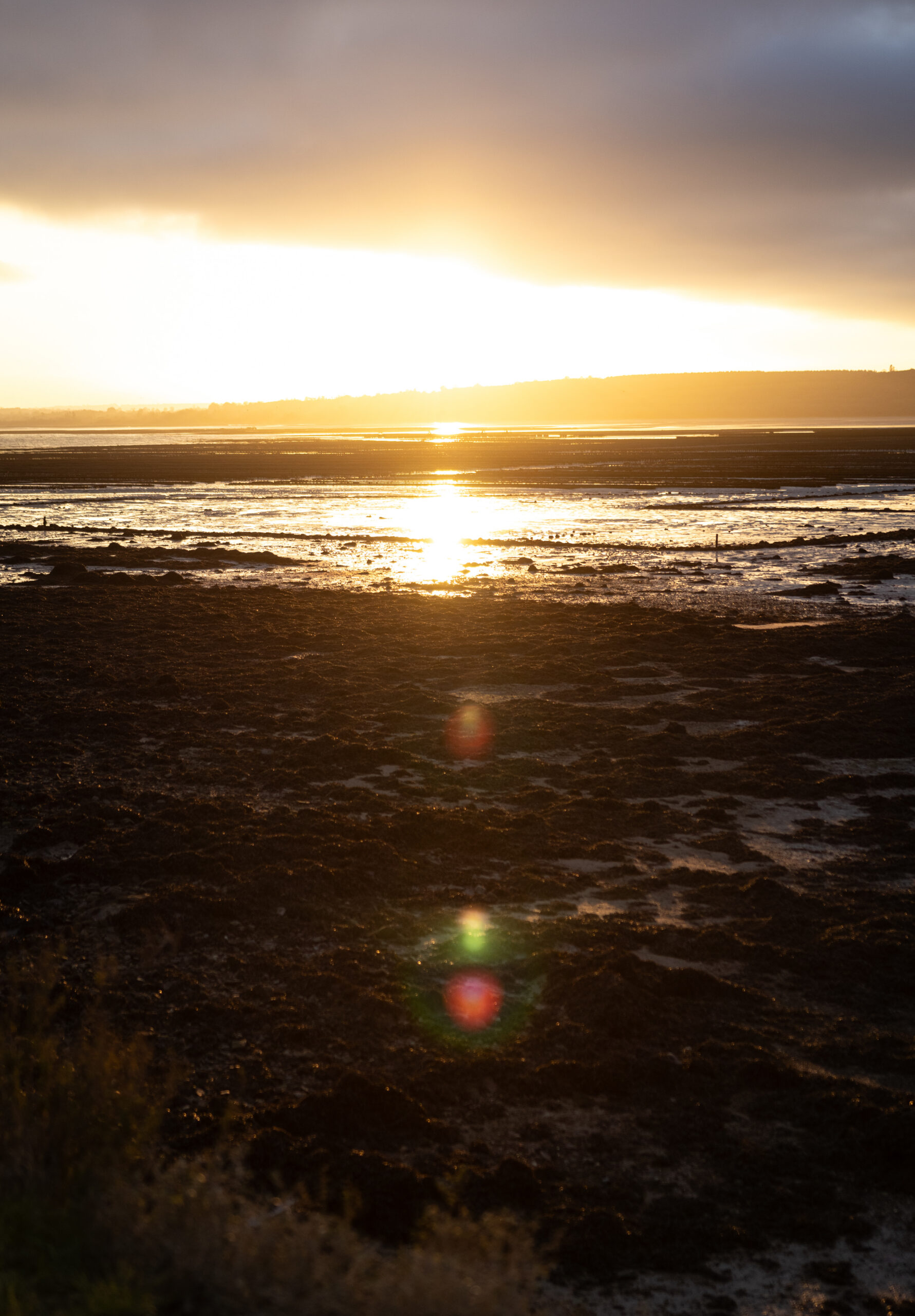 paysage photo saint vaast la hougue cotentin le monde qui brille